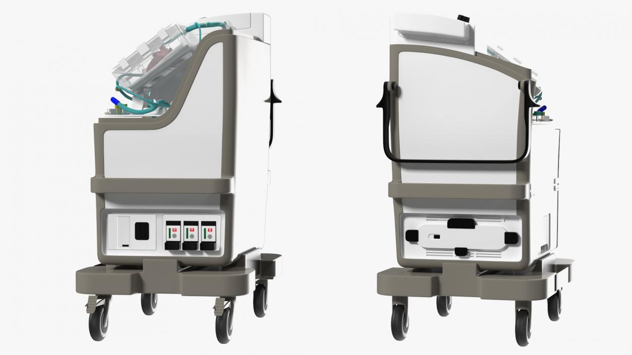 3D Organ Care System with Heart model