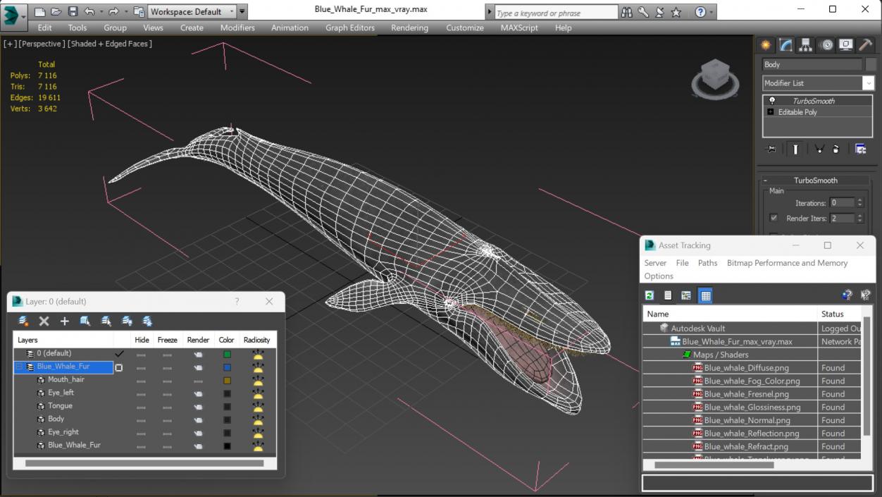 Blue Whale Fur 3D model