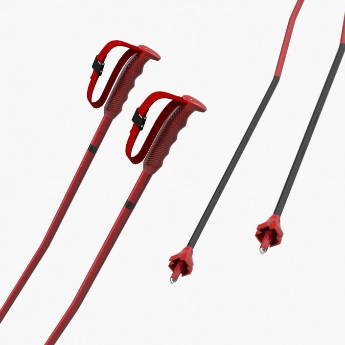 Ski Poles Generic 3D