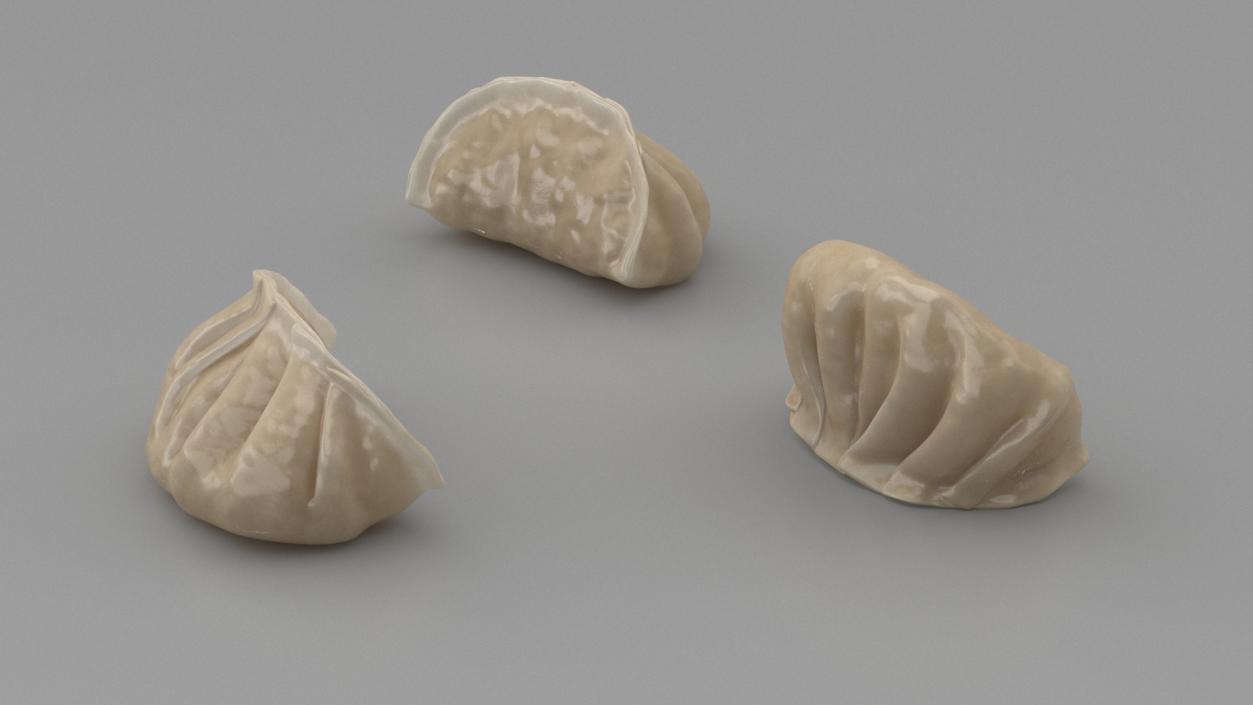 Cooked Dumplings Collection 2 3D model