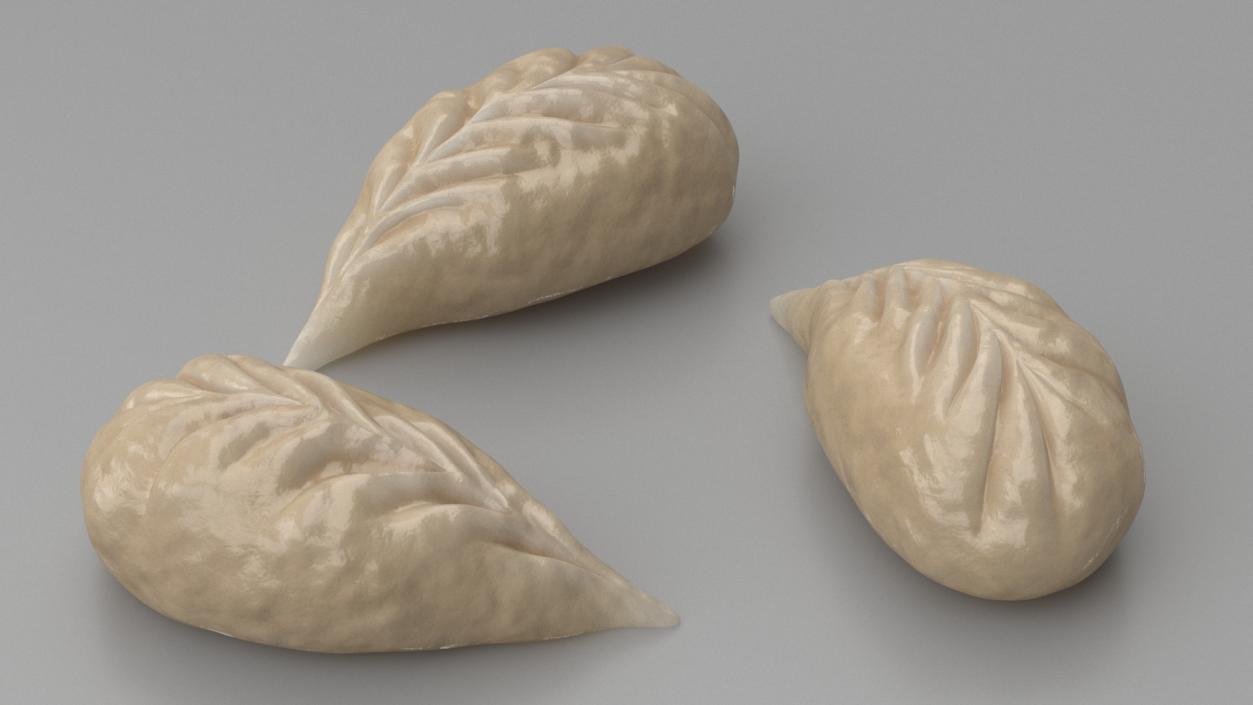 Cooked Dumplings Collection 2 3D model