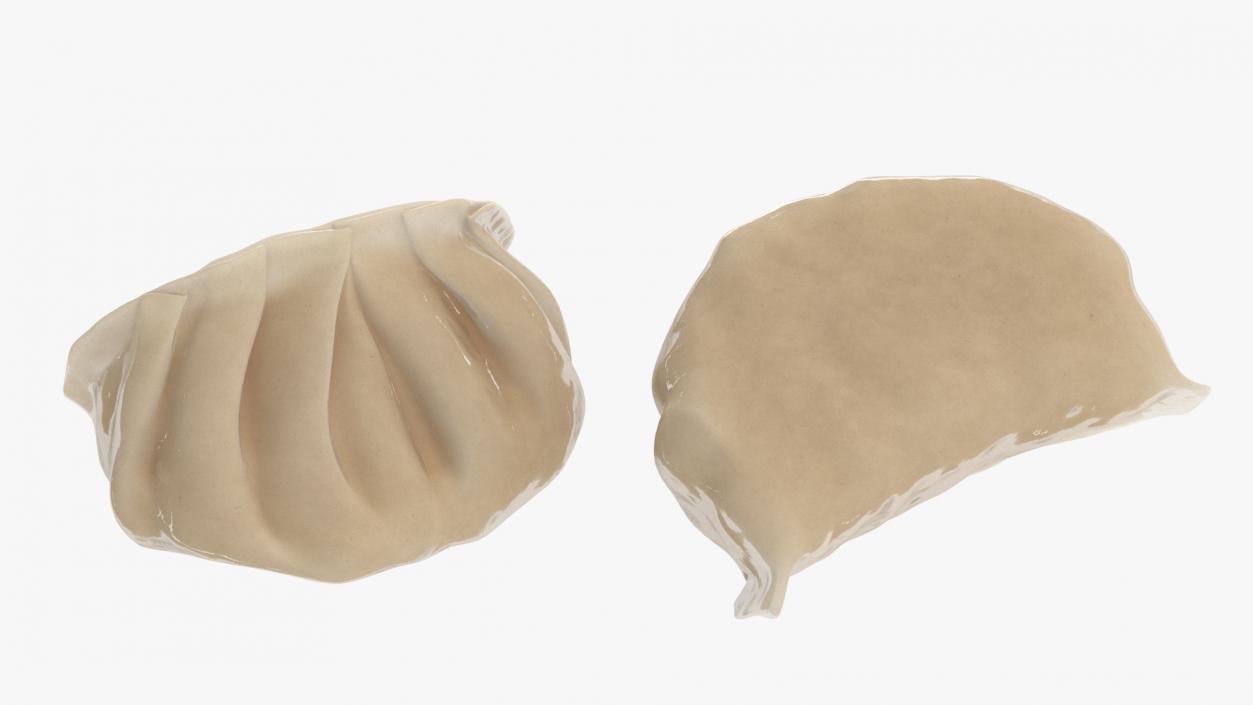 Cooked Dumplings Collection 2 3D model