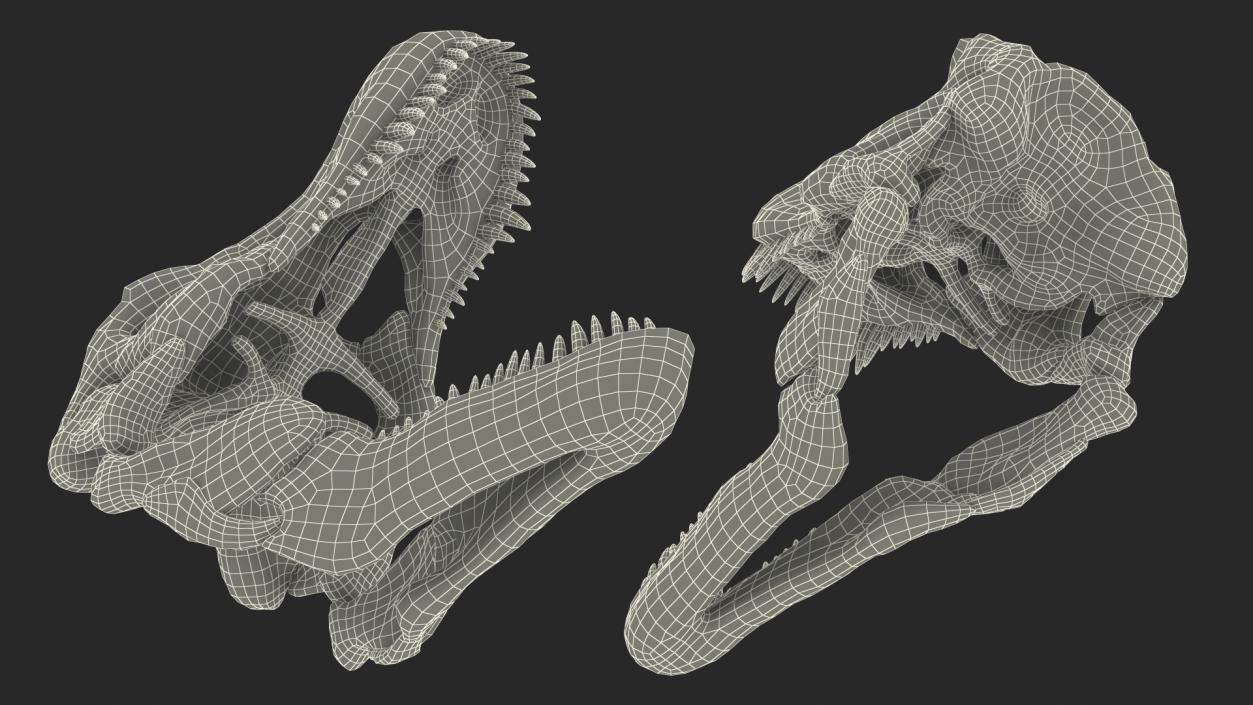 3D Tyrannosaurus Rex Skeleton Fossil with Skin model