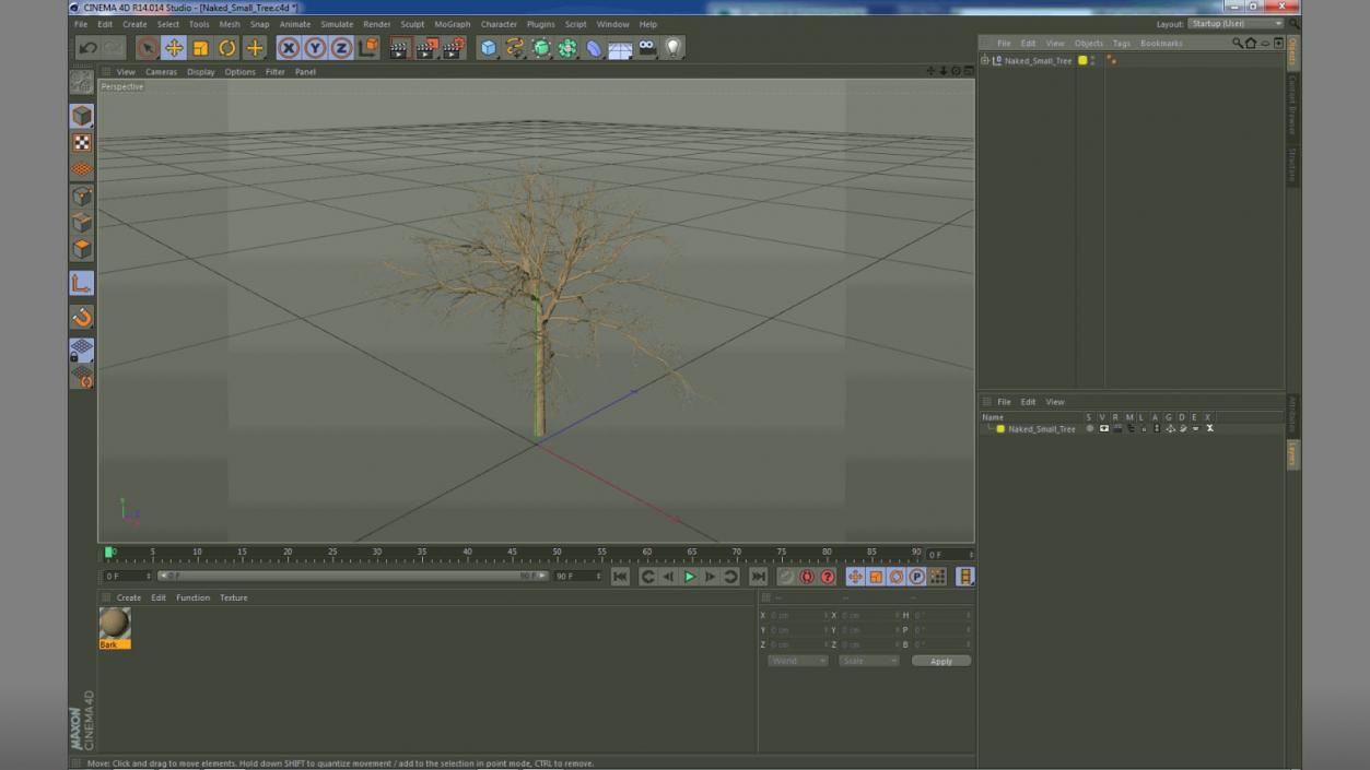 3D Naked Small Tree