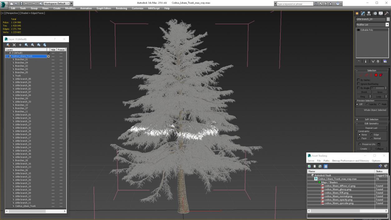 Cedrus Libani Trunk 3D model