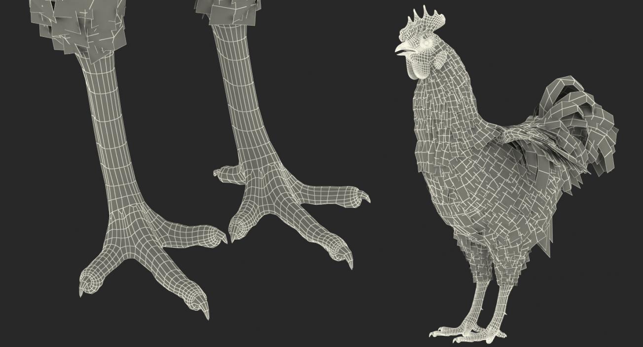 Brown Hen 3D model