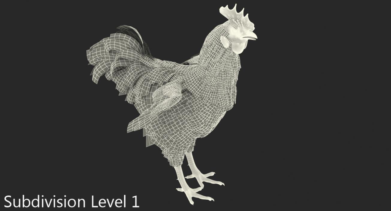 Brown Hen 3D model