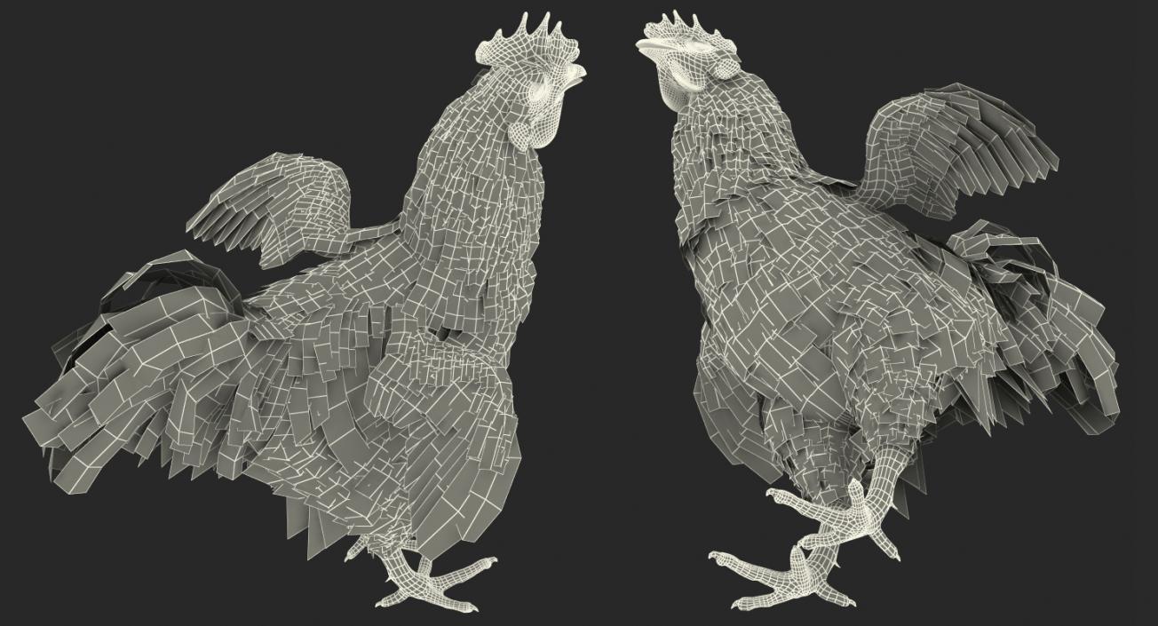 Brown Hen 3D model