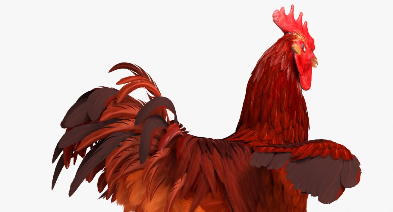 Brown Hen 3D model