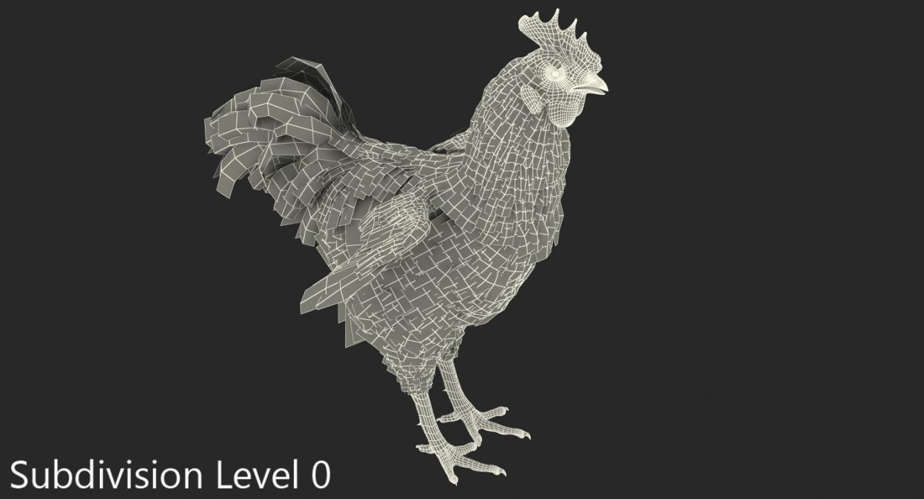 Brown Hen 3D model