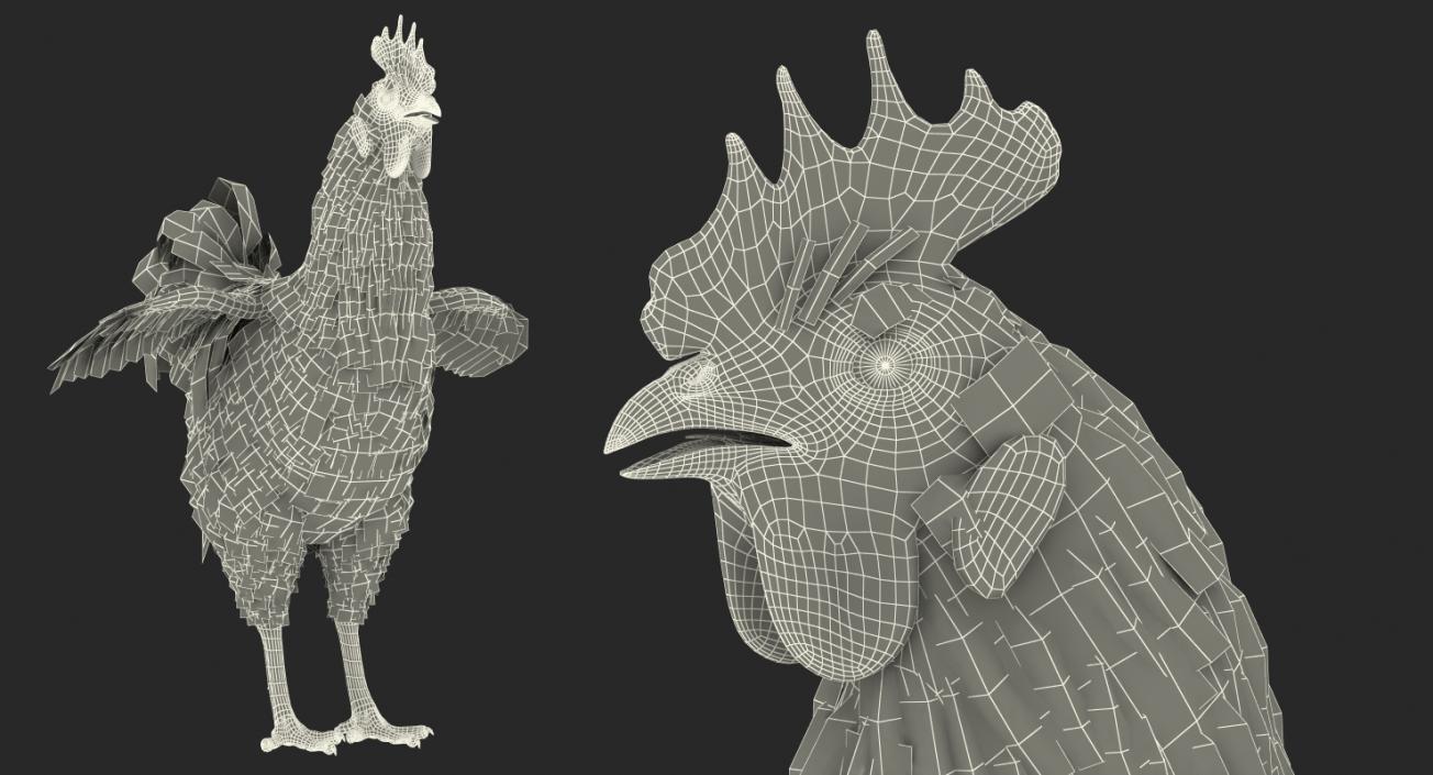 Brown Hen 3D model