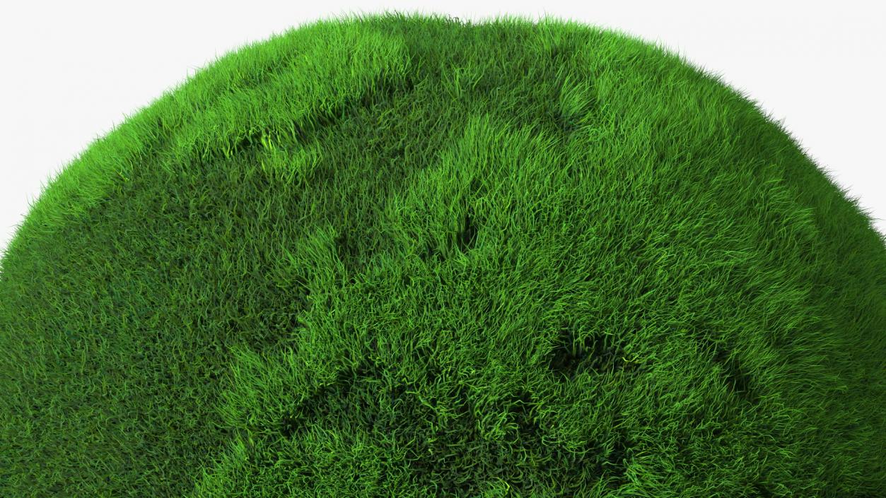 3D model Grass Stylized Earth Globe Fur