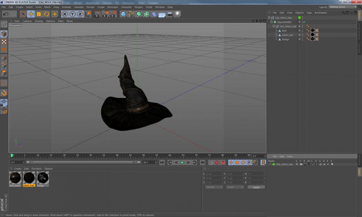 3D Old Witch Hat model