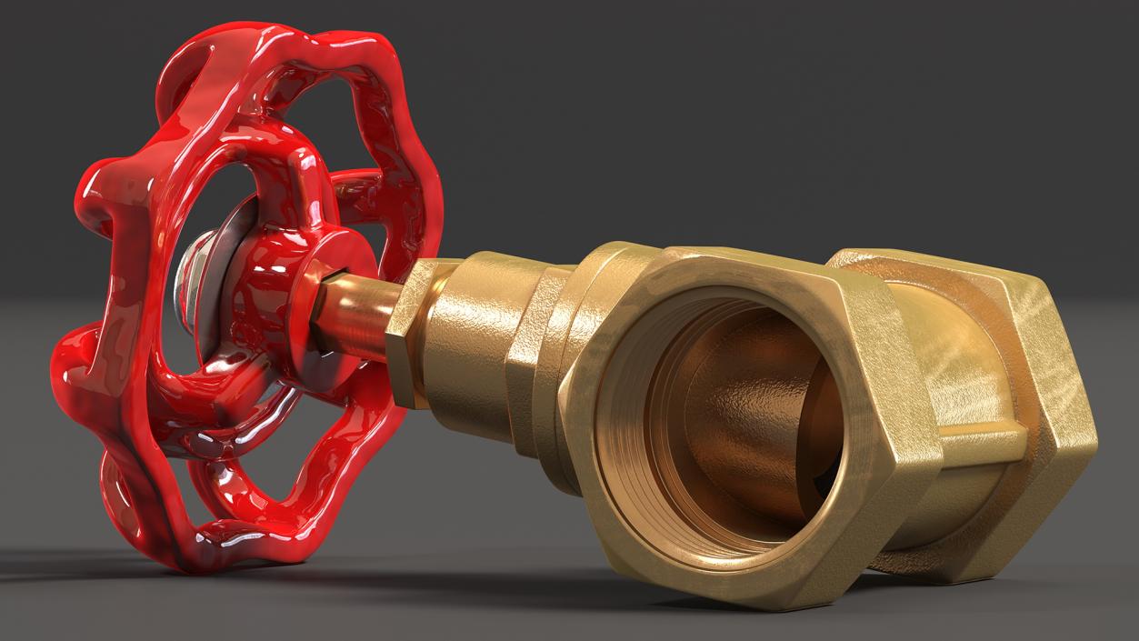 Bronze Water Globe Valve 3D model