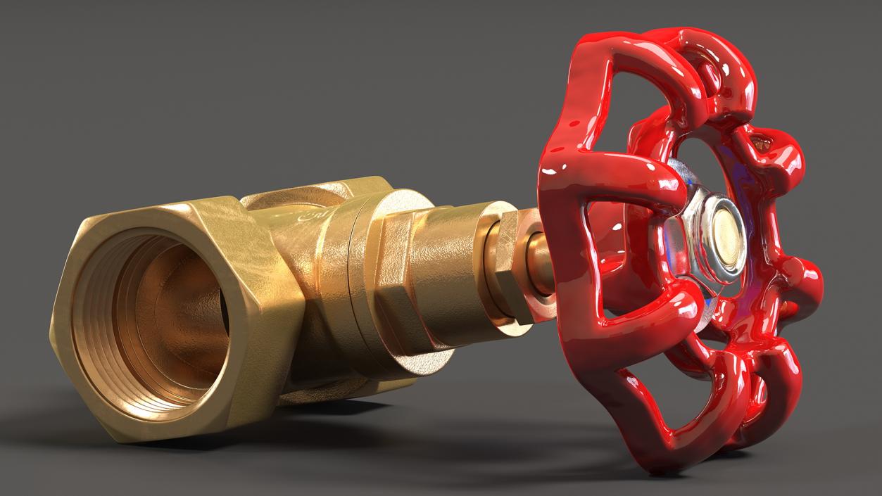 Bronze Water Globe Valve 3D model