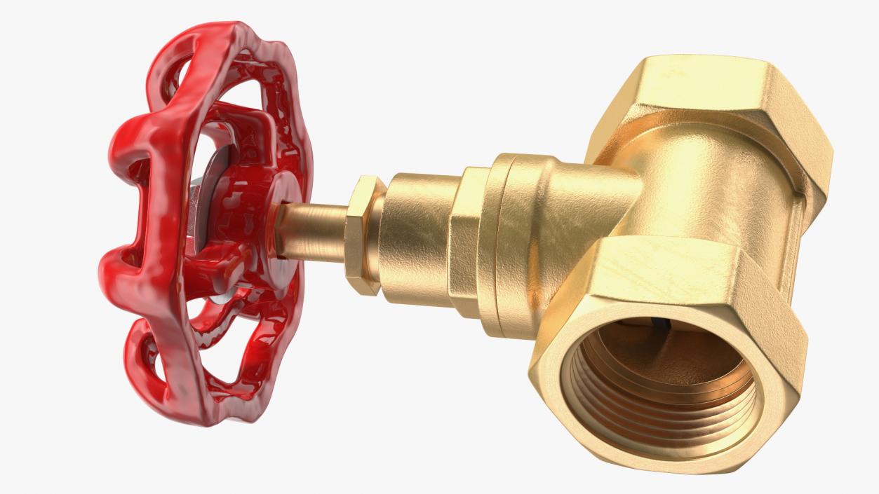 Bronze Water Globe Valve 3D model