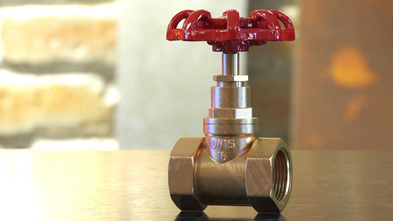 Bronze Water Globe Valve 3D model