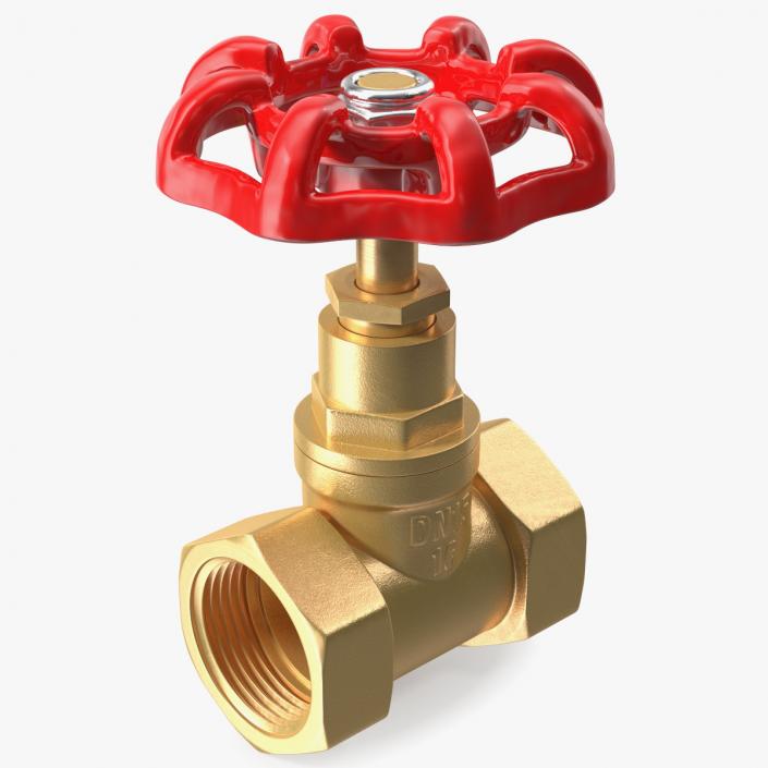 Bronze Water Globe Valve 3D model