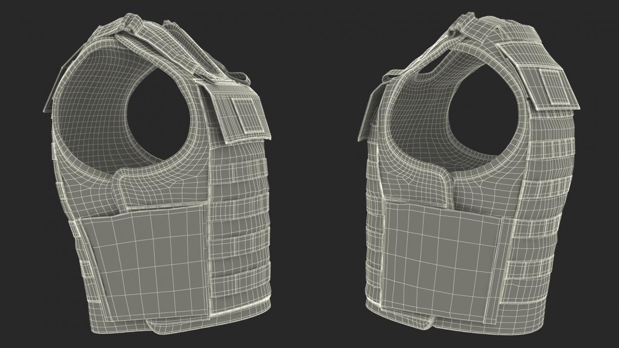 3D Police Black Body Armor Carrier