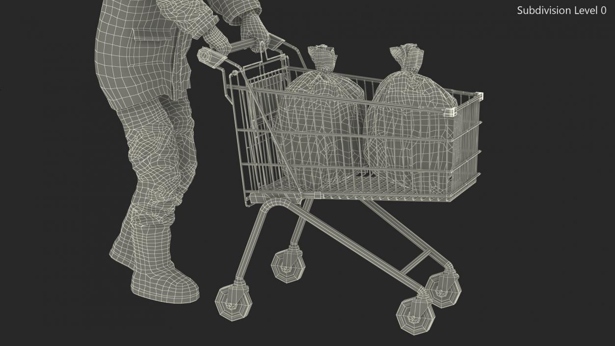 3D Homeless Man with Shopping Cart