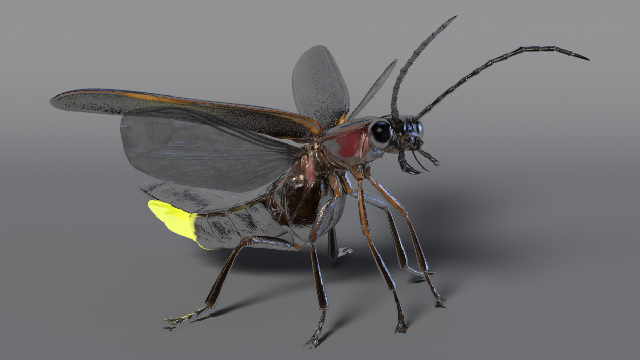 Firefly Glowing Standing Pose 3D model