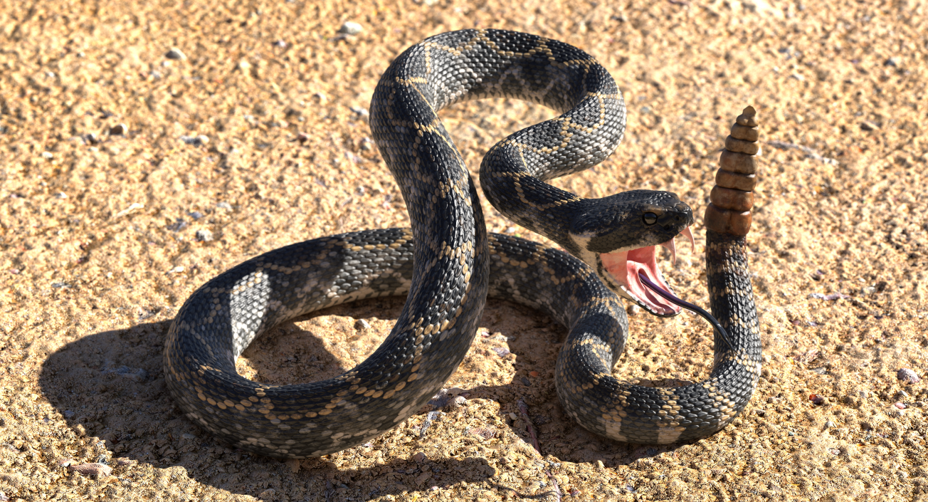 3D Dark Rattlesnake Attack Pose model