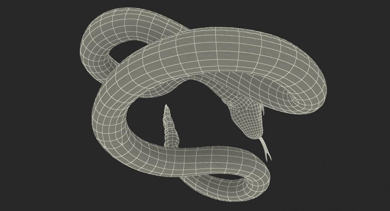 3D Dark Rattlesnake Attack Pose model