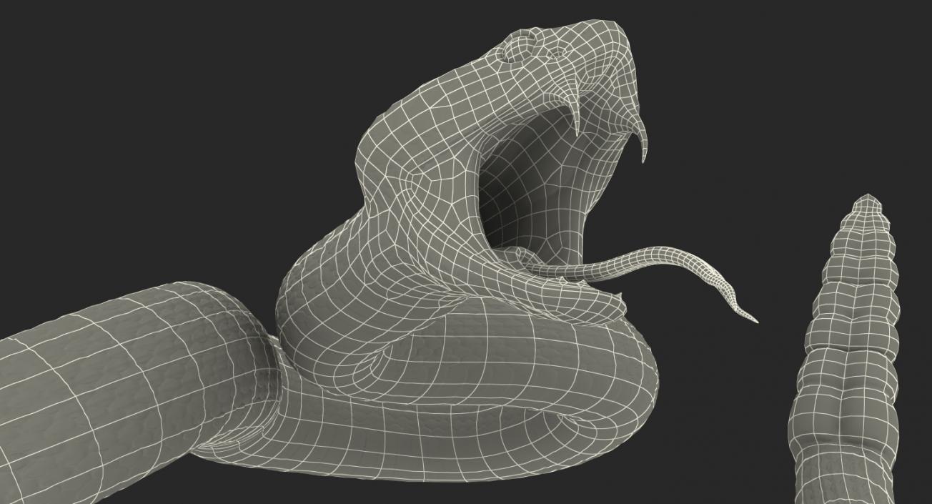 3D Dark Rattlesnake Attack Pose model