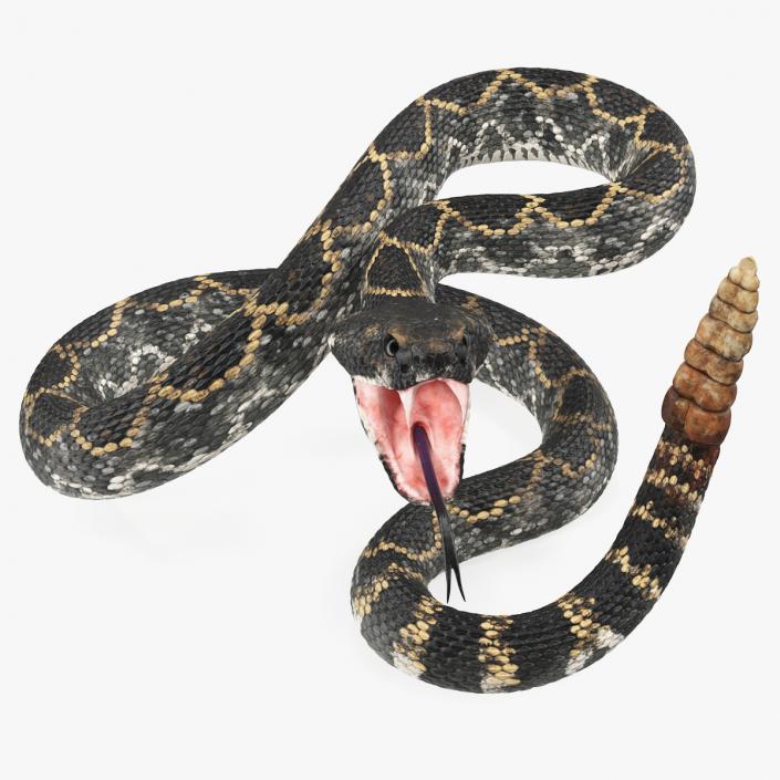 3D Dark Rattlesnake Attack Pose model