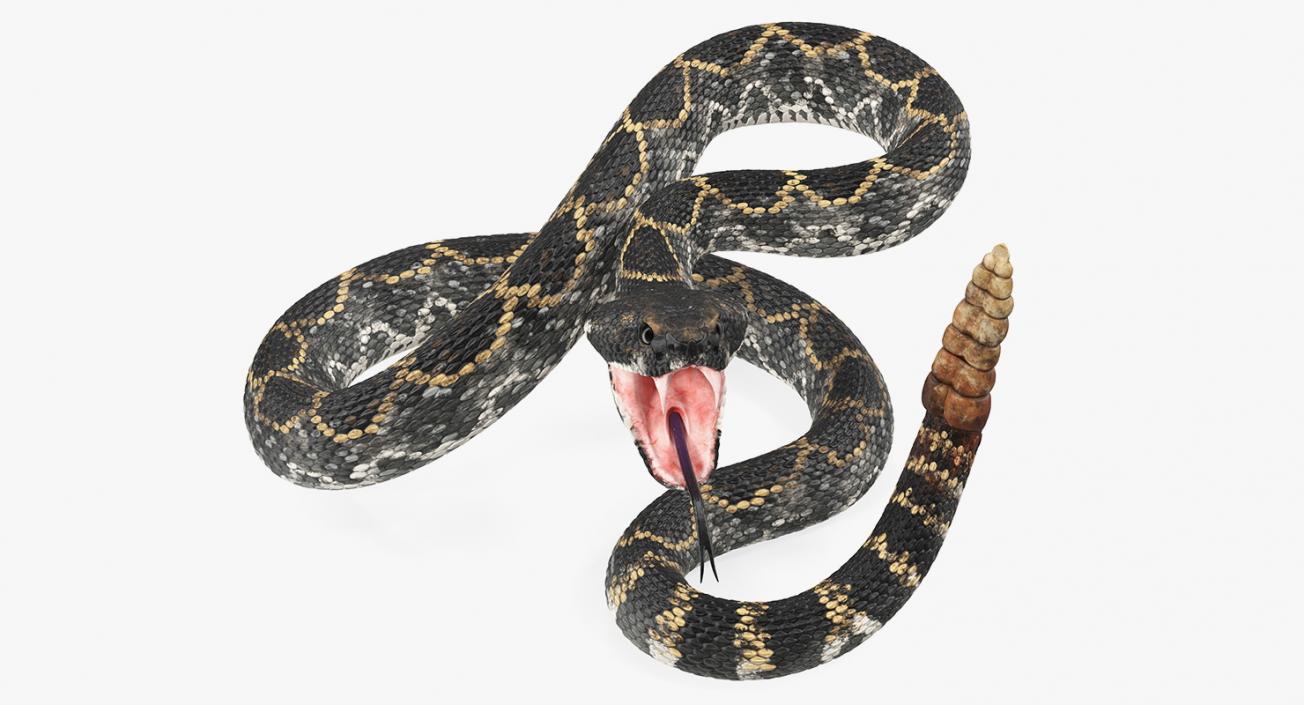 3D Dark Rattlesnake Attack Pose model