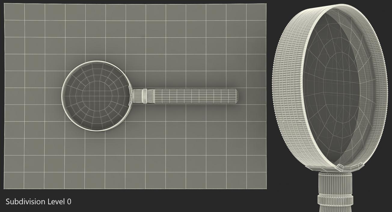 Magnifying Glass And Financial Report 3D