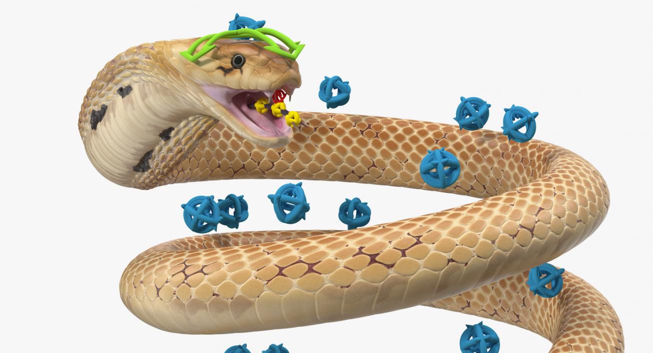 3D Light Skin Cobra Rigged model