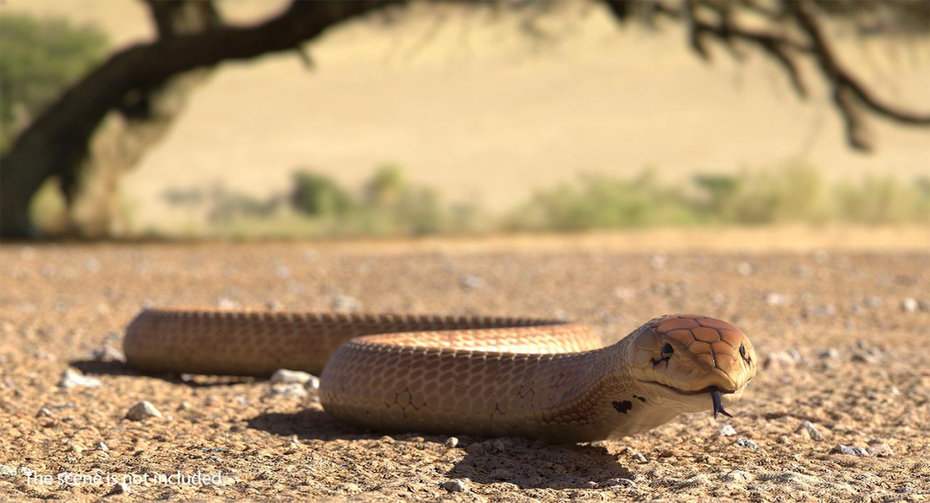 3D Light Skin Cobra Rigged model