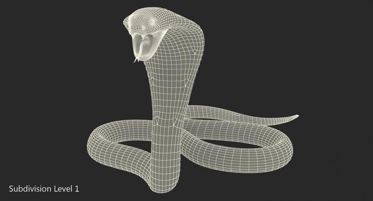 3D Light Skin Cobra Rigged model