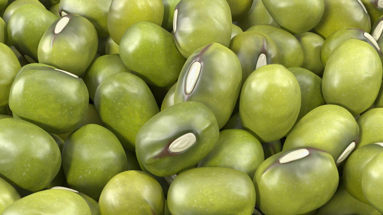 3D Beans and Seeds in a Bowl Collection 3 model