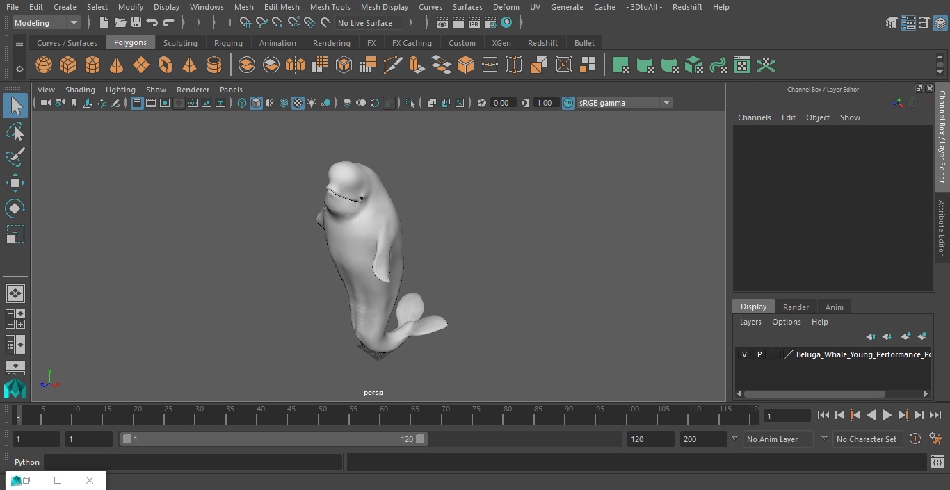 3D model Beluga Whale Young Performance Pose