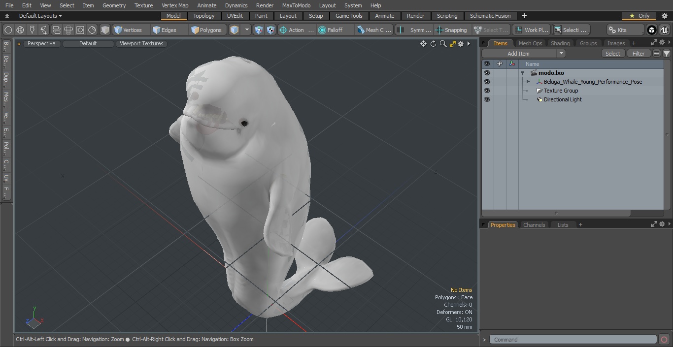 3D model Beluga Whale Young Performance Pose