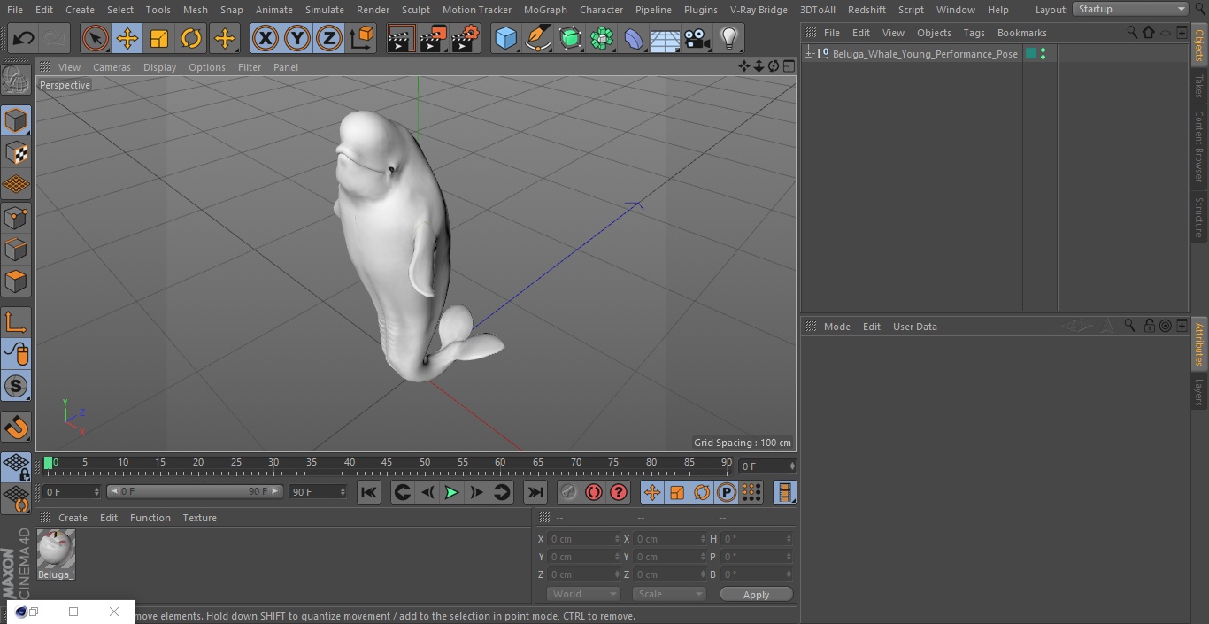 3D model Beluga Whale Young Performance Pose