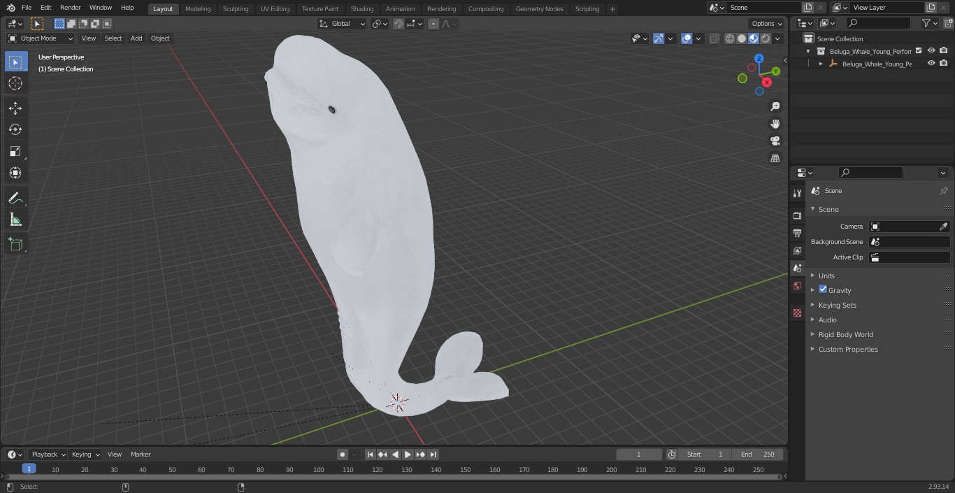 3D model Beluga Whale Young Performance Pose