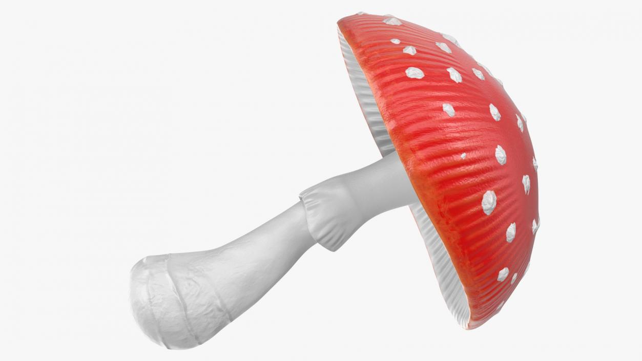 3D model Big Amanita Mushroom