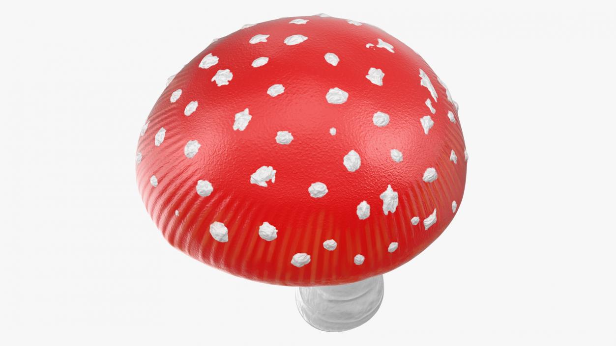 3D model Big Amanita Mushroom