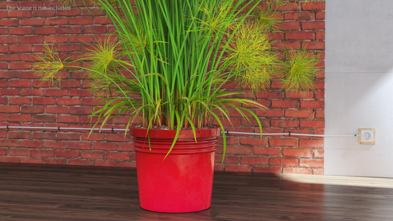 Papyrus Plant Pot 3D