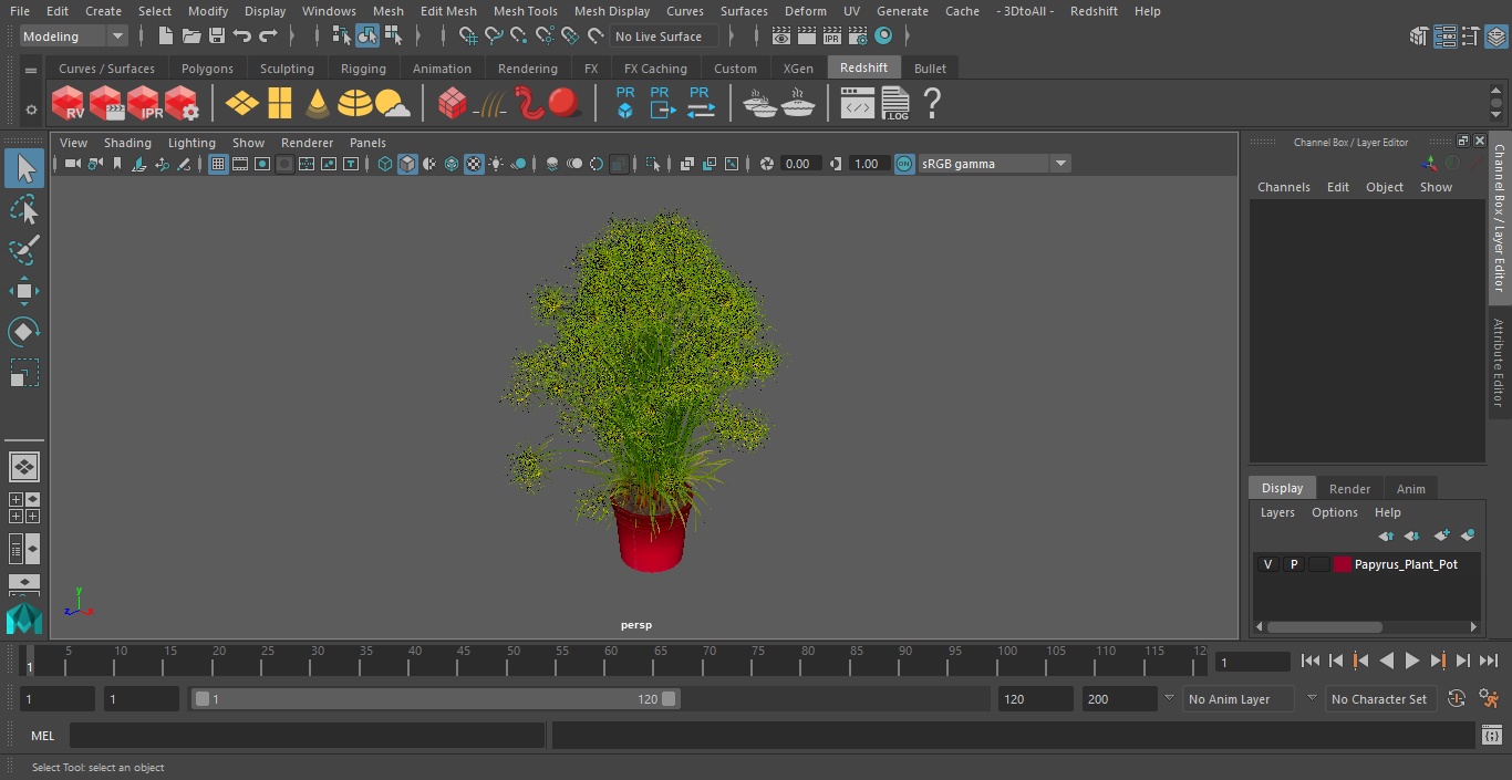 Papyrus Plant Pot 3D