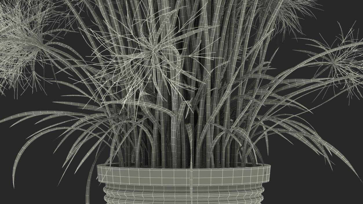 Papyrus Plant Pot 3D