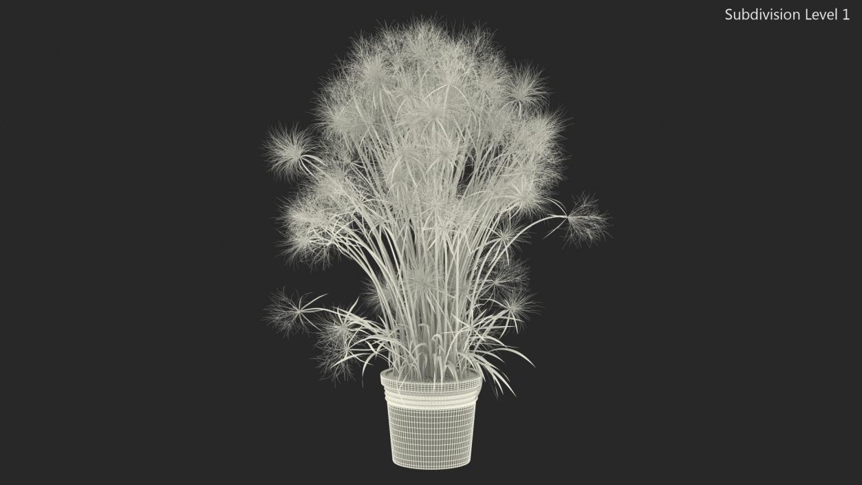 Papyrus Plant Pot 3D