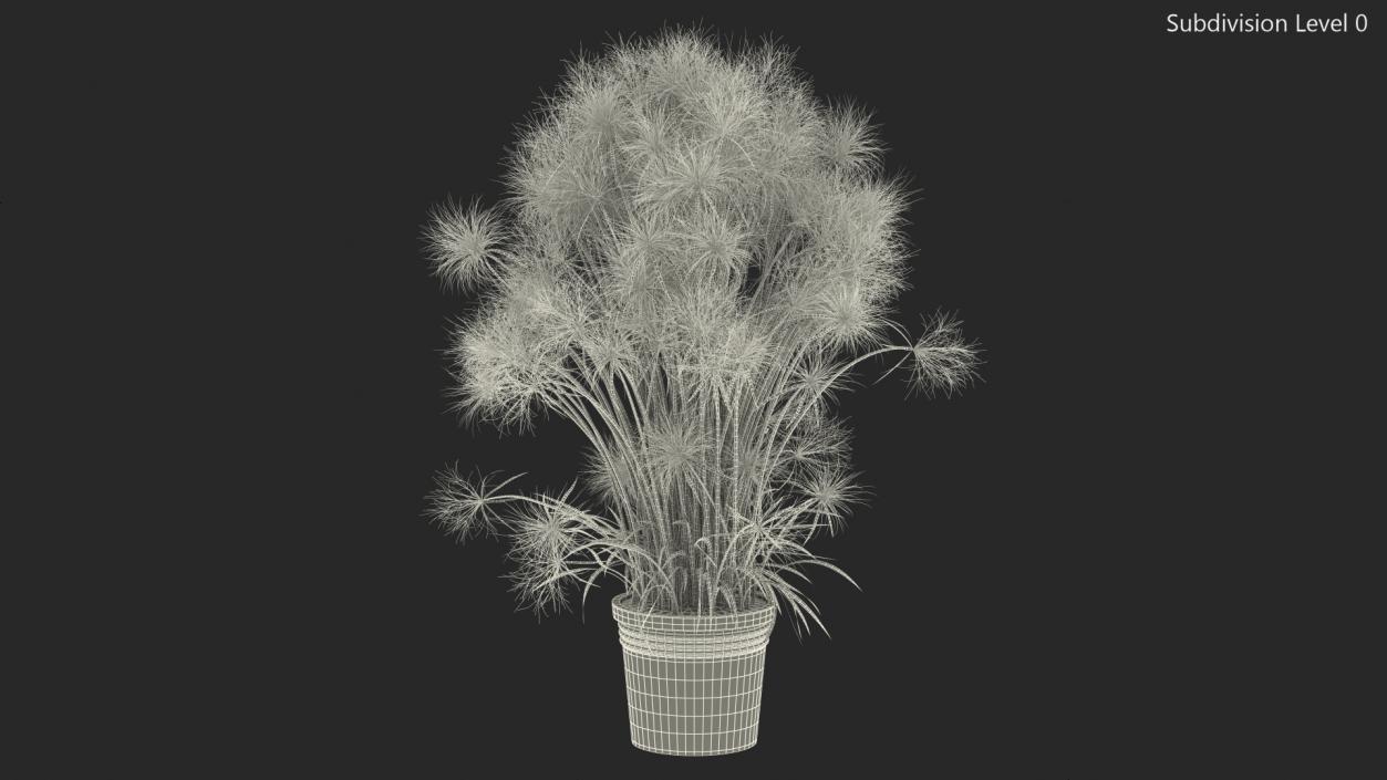 Papyrus Plant Pot 3D