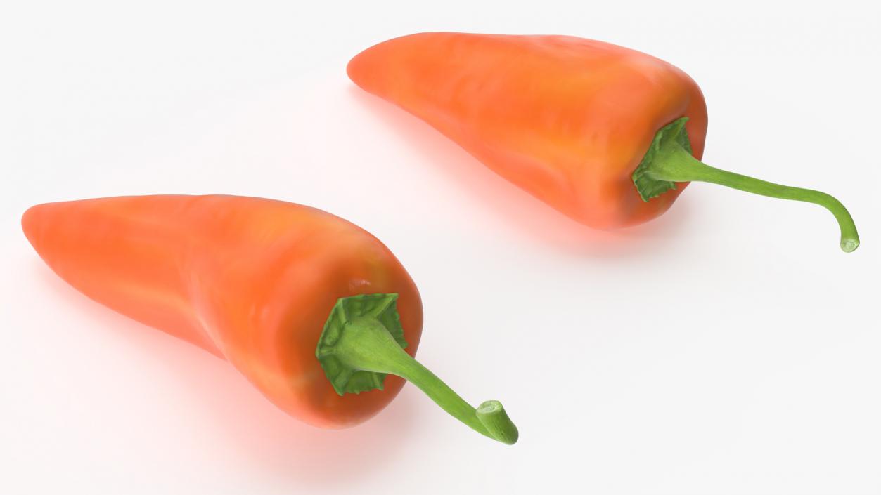 Hot Pepper Orange 3D