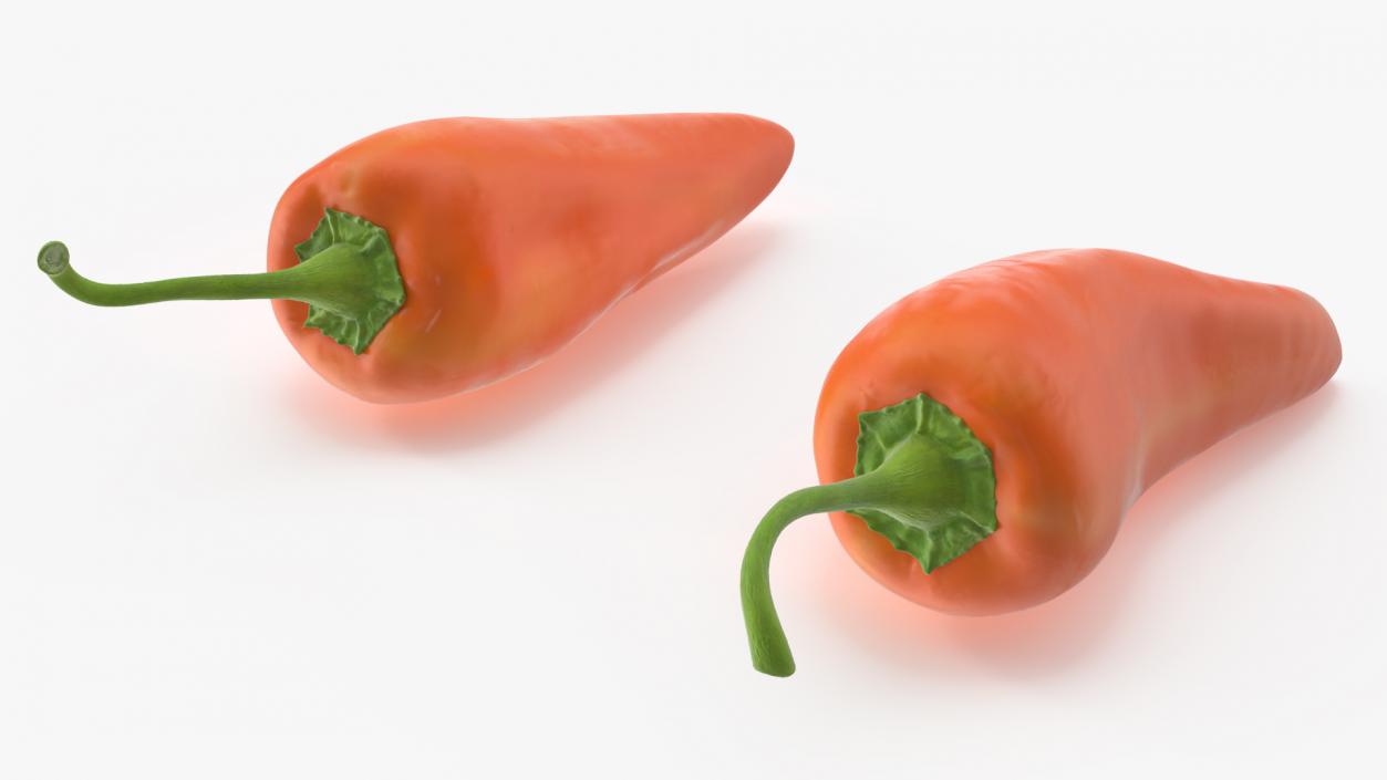 Hot Pepper Orange 3D