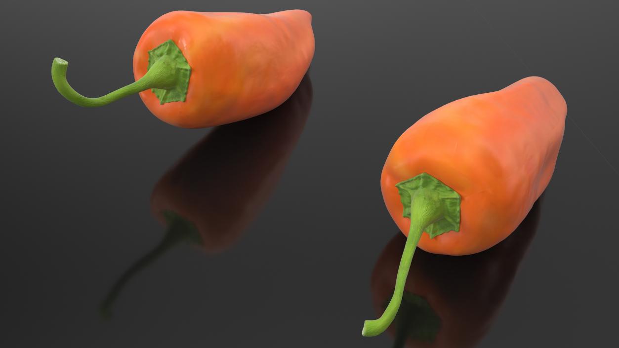 Hot Pepper Orange 3D