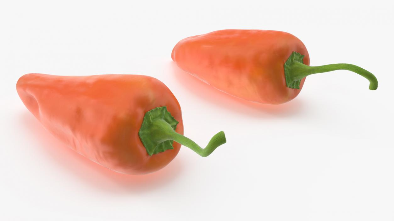 Hot Pepper Orange 3D